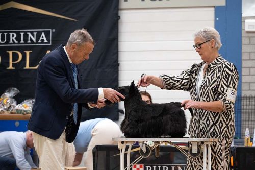 114 erekeuring v bis kvf