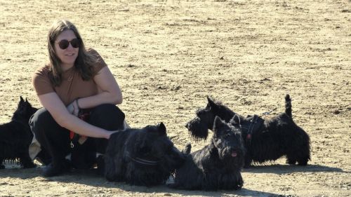 najaarswandeling 2024 loonse en drunense duinen  