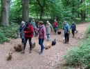 voorjaarswandeling mariendaal 17.05.2026  