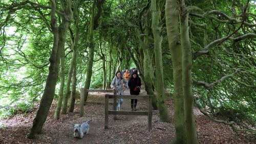 voorjaarswandeling mariendaal 17.05.2026  