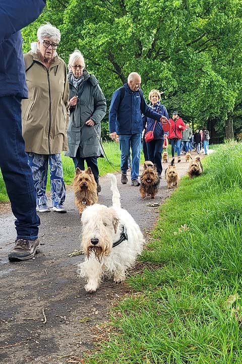 voorjaarswandeling mariendaal 17.05.2026  54 