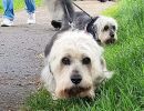voorjaarswandeling mariendaal 17.05.2026  56a 