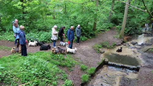 voorjaarswandeling mariendaal 17.05.2026  