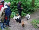 voorjaarswandeling mariendaal 17.05.2026  