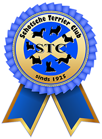 schotsche terrier club
